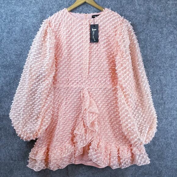 Miss Ord Dress 3XL Pink Lantern Sleeve Ruffle Textured Flounce Romantic Girly - Picture 1 of 7